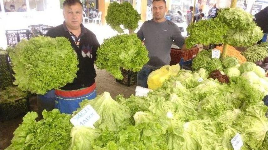 Trakyalı Sebze &Uuml;reticilerinin Y&uuml;z&uuml;n&uuml; Yağmurlar G&uuml;ld&uuml;rd&uuml;