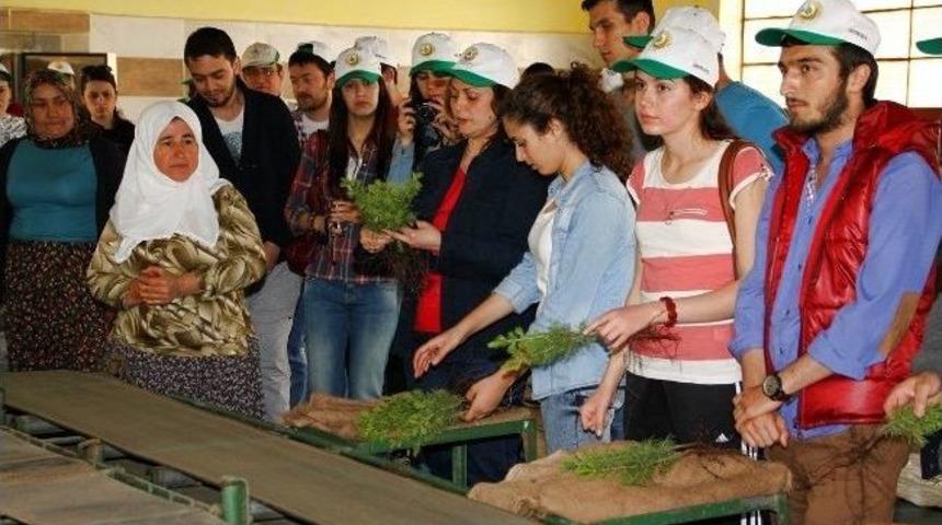 Kt&uuml; Orman Fak&uuml;ltesi &Ouml;ğrencileri Eskişehir&rsquo;de