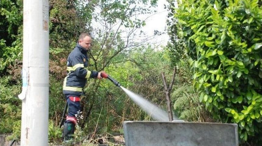 Ereğli&rsquo;de Yangın