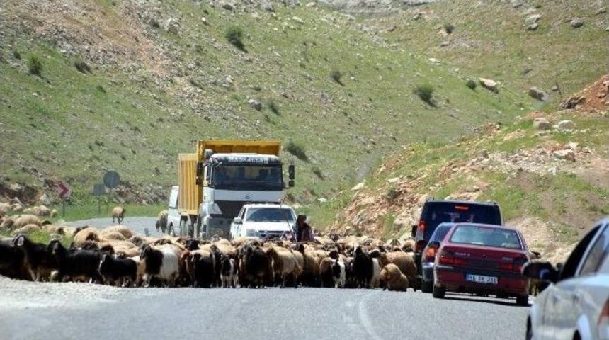 Siirt Karayolunda Tehlikeli Yolculuk
