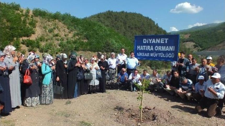 &Ouml;nce Fidan Dikildi Sonra Yağmur Duası Yapıldı
