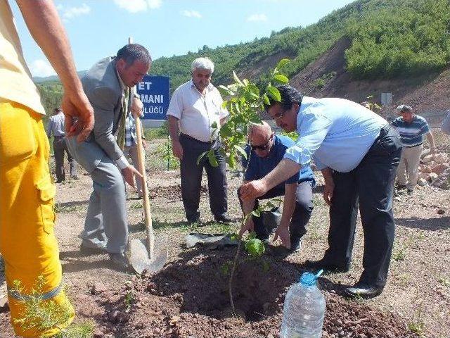 &Ouml;nce Fidan Dikildi Sonra Yağmur Duası Yapıldı 1