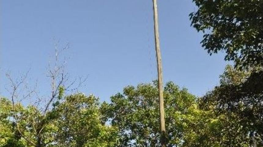 Milli Yas Sona Erdi Bayraklar Tekrar G&ouml;ndere &Ccedil;ekildi