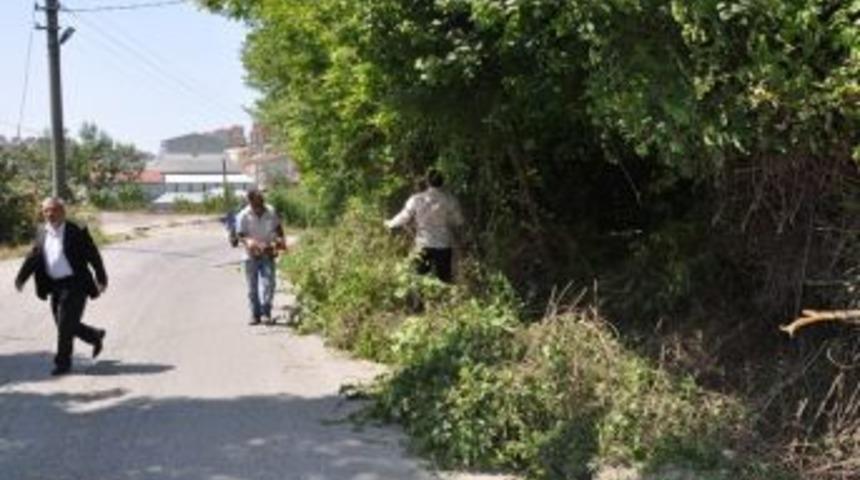 Mollabey yolundaki &ccedil;alılar temizleniyor