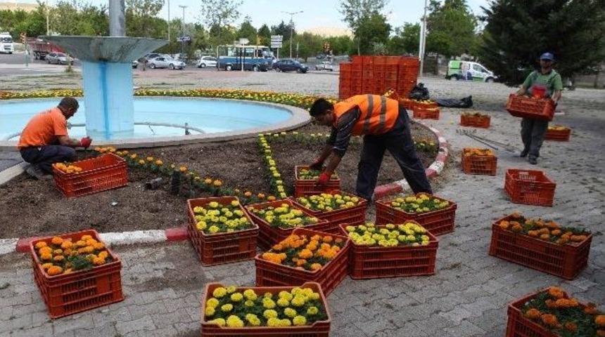 Yenimahalle &Ccedil;i&ccedil;ek A&ccedil;tı