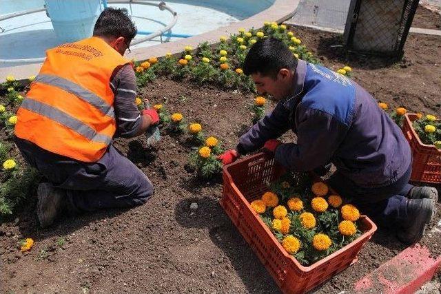 Yenimahalle Çiçek Açtı