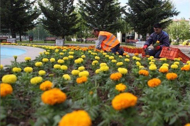 Yenimahalle Çiçek Açtı