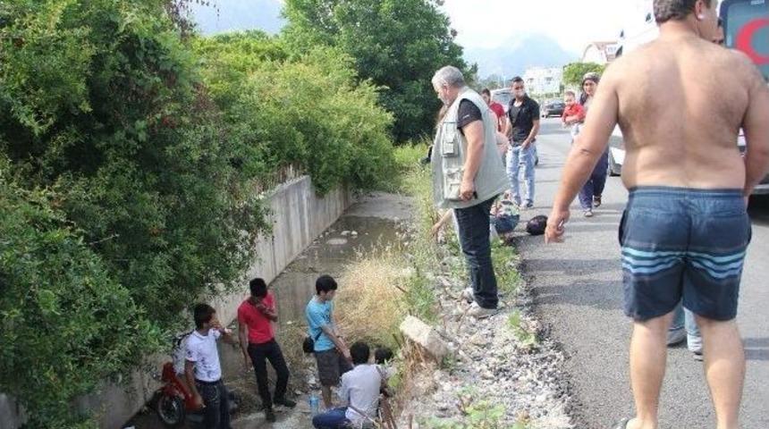 &Uuml;niversiteli Kız Mypet İle Beton Kanala D&uuml;şt&uuml;