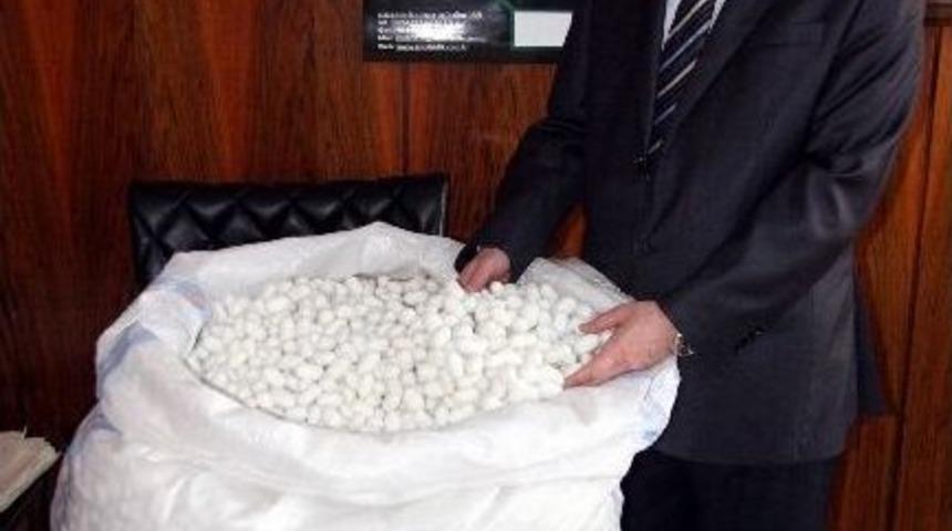 İpek B&ouml;ceklerine Kırağı Darbesi