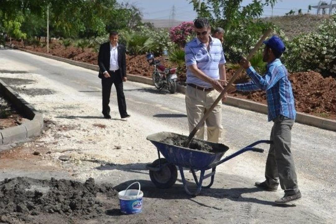 Başkan G&uuml;ven&ccedil; İncelemelerde Bulundu