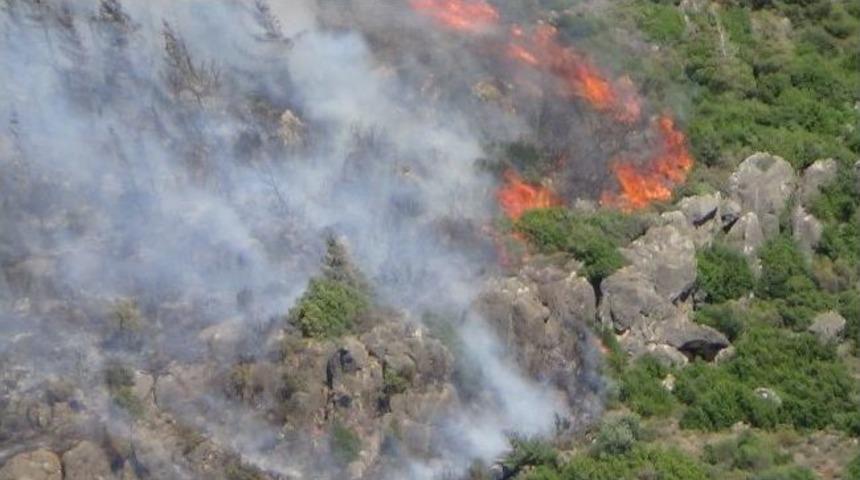 Hatay&rsquo;da Orman Yangını