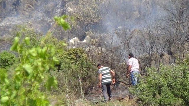 Hatay’da Orman Yangını