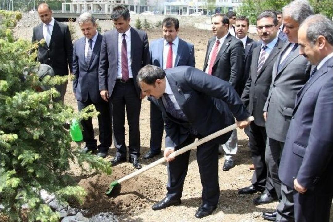 301 Madenci İ&ccedil;in Ağrı&rsquo;da Fidan Dikildi