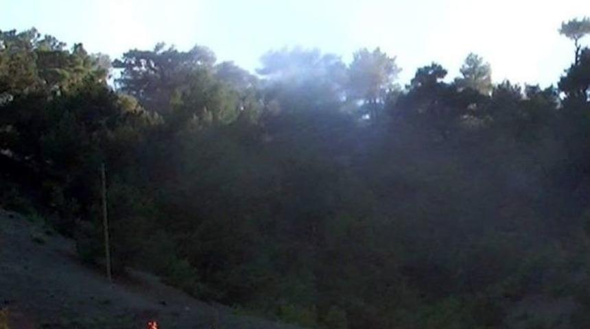 Adıyaman'da Orman Yangını