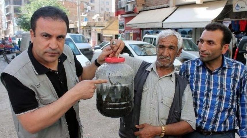 S&uuml;l&uuml;k İle Hem Tedavi Yapıyor, Hem Ge&ccedil;imini Sağlıyor
