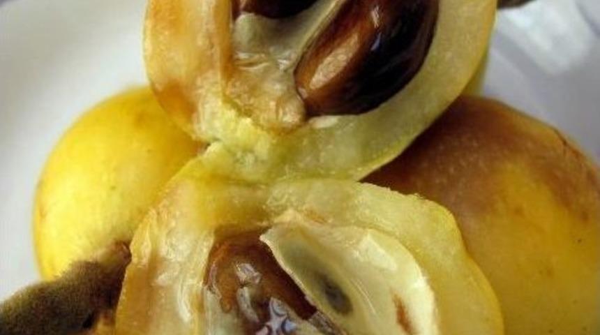 Yenid&uuml;nya Erken Olgunlaştı