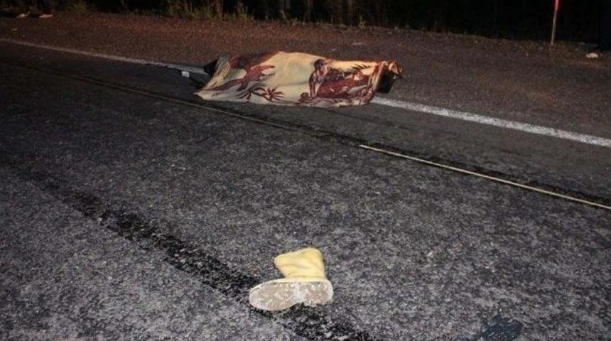 Otomobil Eşeğe &Ccedil;arptı: 1 &Ouml;l&uuml;