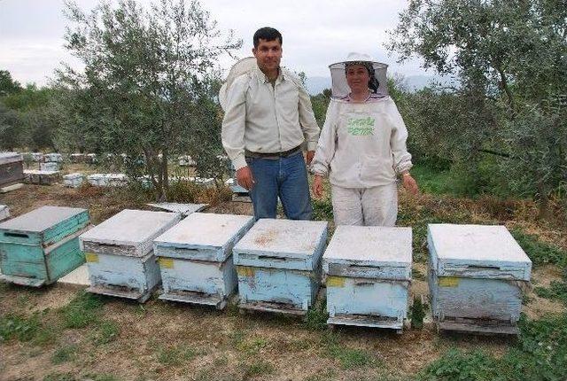 Kadınlar Arıcılık Mesleğine De El Attı