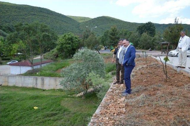 Nadır Tesisleri&rsquo;ni Belediye İşletecek 1