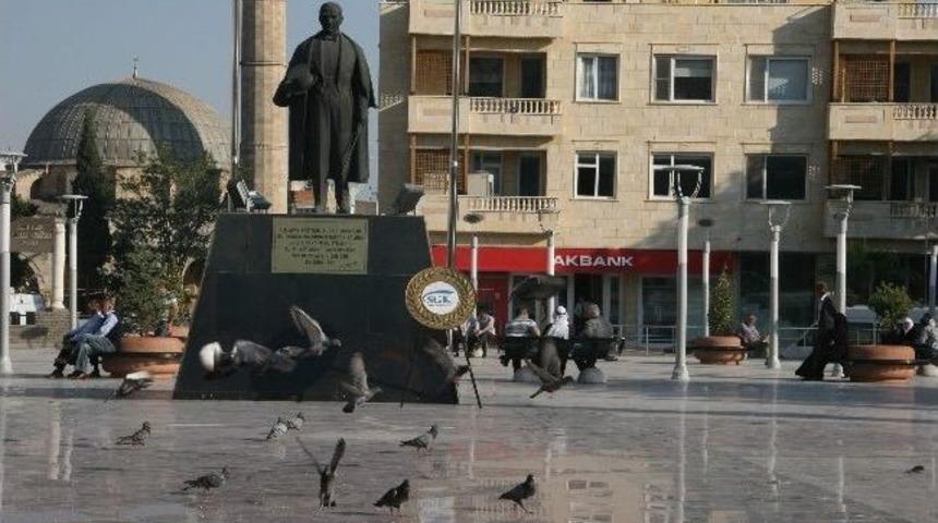 Kuşlar Atılan Buğday Tanelerine H&uuml;cum Etti