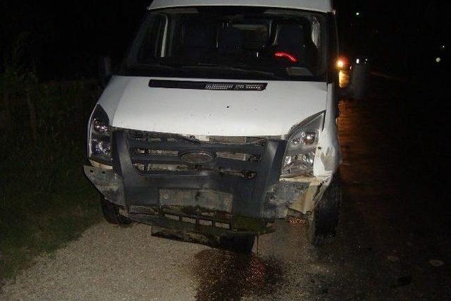 Kamyonet Koyun S&uuml;r&uuml;s&uuml;ne Daldı: 34 Koyun Telef Oldu 1