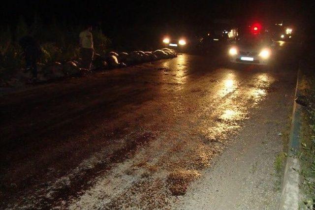 Kamyonet Koyun S&uuml;r&uuml;s&uuml;ne Daldı: 34 Koyun Telef Oldu 2