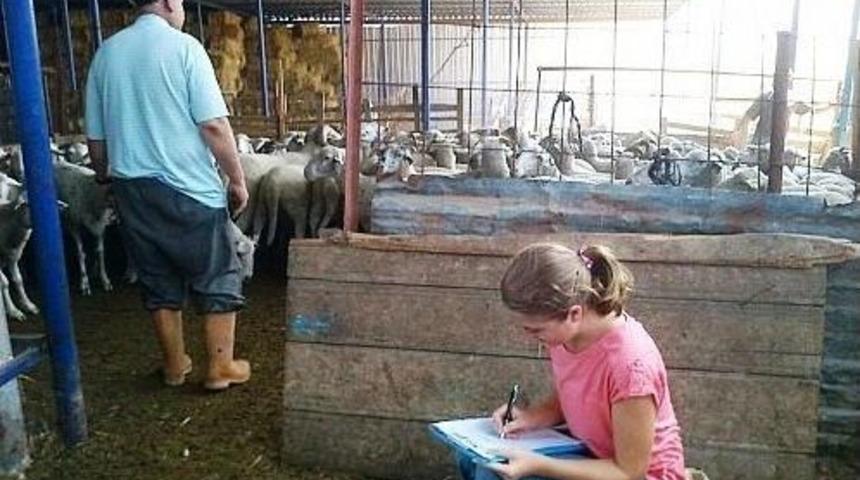 Canlı Hayvan Fuarı&rsquo;nda Ana Tema G&uuml;ncelleme