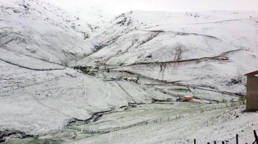 Giresun&rsquo;da Yaylalara Mayıs Karı Yağdı