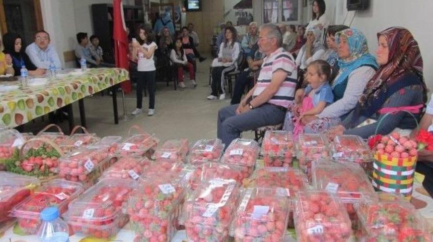 Kdz. Ereğli&rsquo;de En G&uuml;zel Osmanlı &Ccedil;ileği Yarışması D&uuml;zenlendi