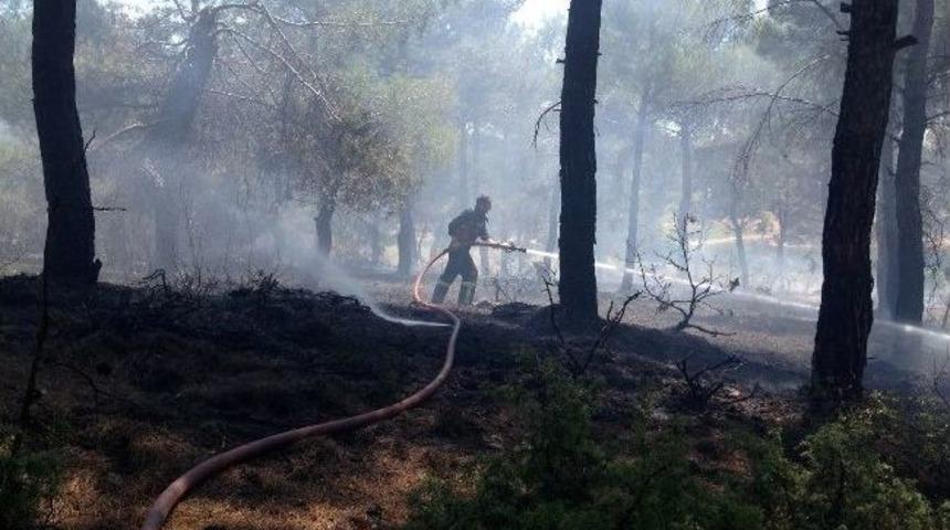 Uşak&rsquo;ta Orman Yangını B&uuml;y&uuml;meden S&ouml;nd&uuml;r&uuml;ld&uuml;
