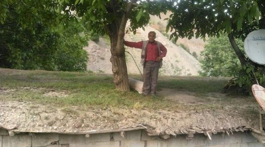 Evin İ&ccedil;inden Ceviz Ağacı Ge&ccedil;iyor