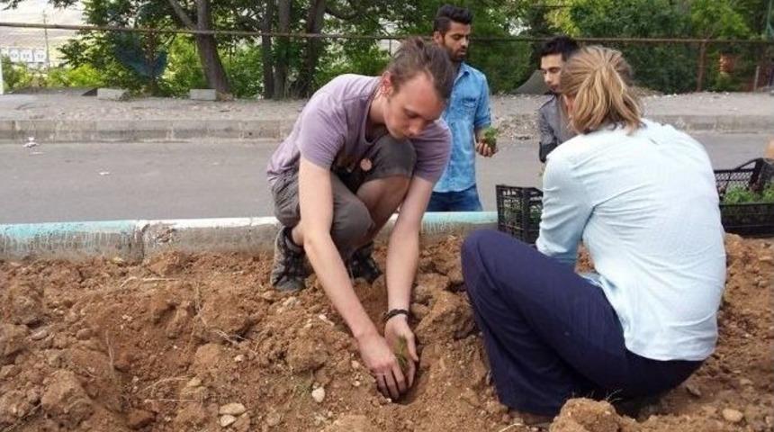 Mavi-der &Uuml;yeleri Caddelere &Ccedil;i&ccedil;ek Ekti