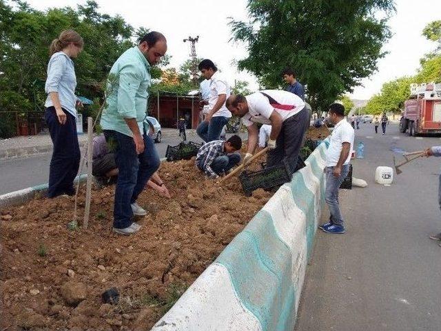 Mavi-der Üyeleri Caddelere Çiçek Ekti 3