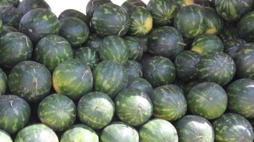 Yerli Karpuz G&ouml;r&uuml;ciye &Ccedil;ıktı