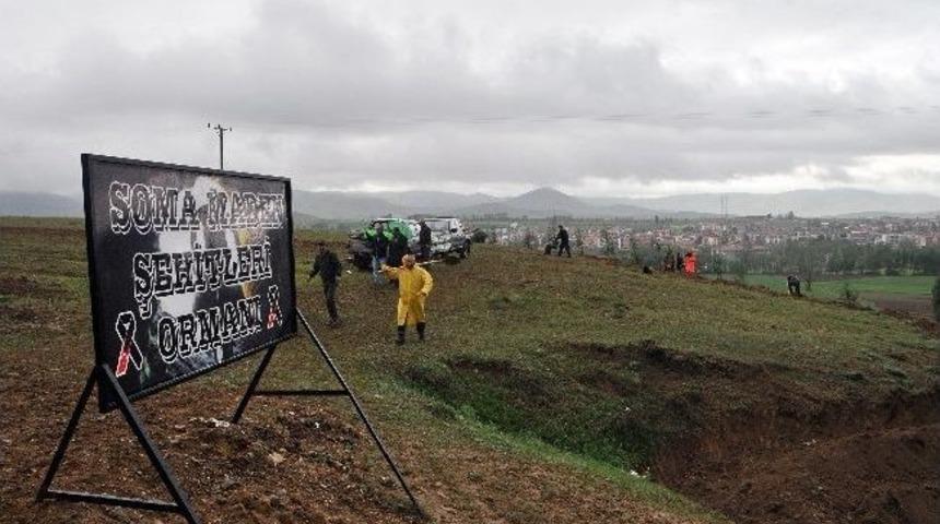 Kelkit&rsquo;te Soma Maden Şehitleri Ormanı Oluşturuldu