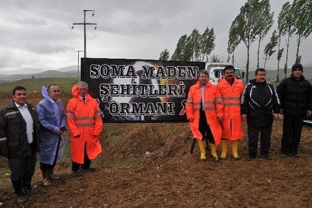 Kelkit&rsquo;te Soma Maden Şehitleri Ormanı Oluşturuldu 3