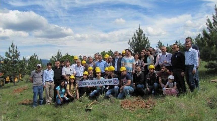 'soma'da 301 Can, Hisarcık'ta 301 Fidan' Etkinliği