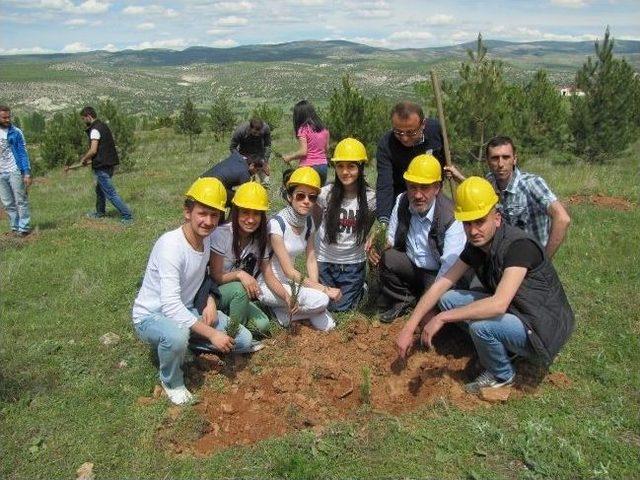  soma da 301 Can, Hisarcık ta 301 Fidan  Etkinliği 1