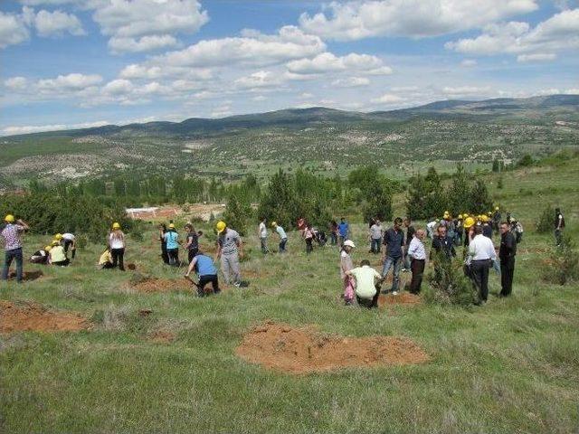  soma da 301 Can, Hisarcık ta 301 Fidan  Etkinliği 3