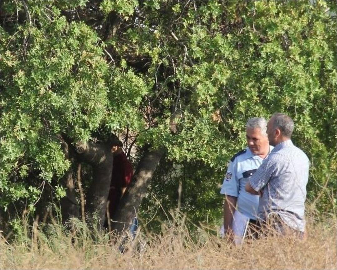 Adana'da Bir Kişi Kendini Ağaca Asarak İntihar Etti