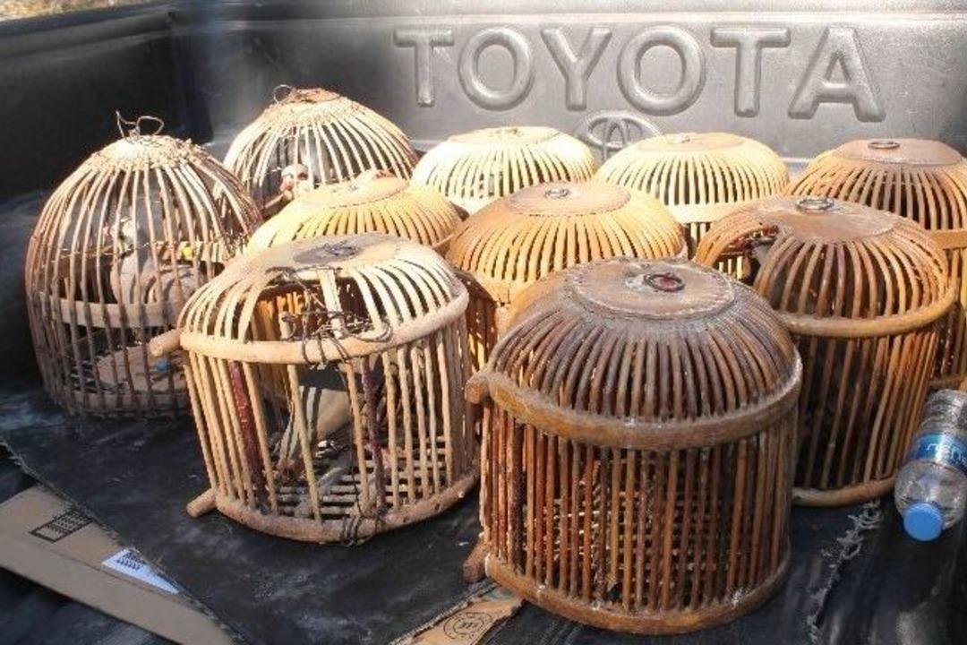 Keklik Avcıları Su&ccedil;&uuml;st&uuml; Yakalandı