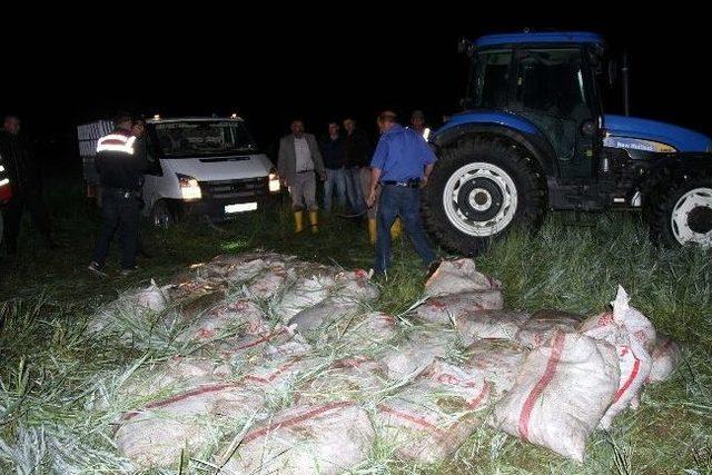 Van’da Kaçak Balık Operasyonu