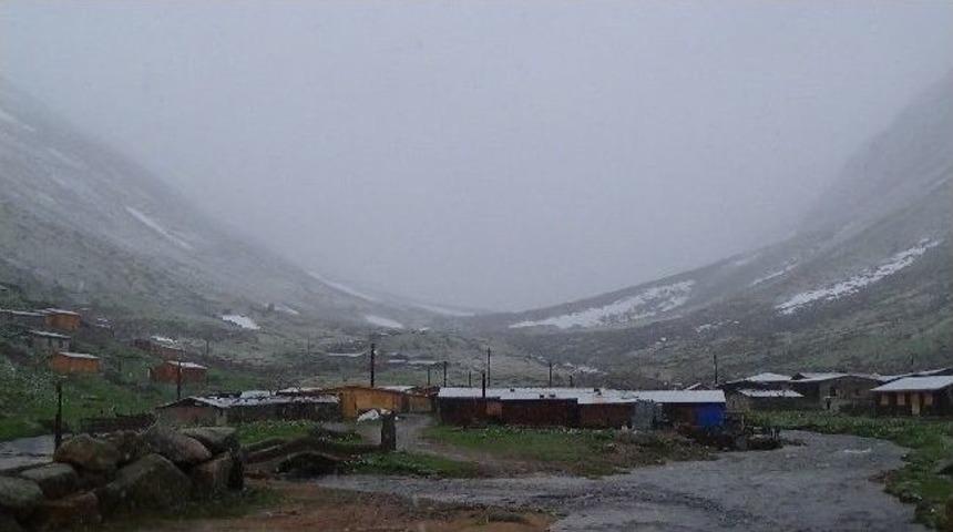 Rize'de Yaylarda Yazı Beklerken Kar Geldi