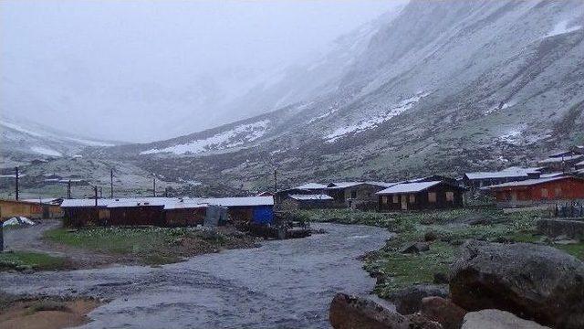 Rize de Yaylarda Yazı Beklerken Kar Geldi 1
