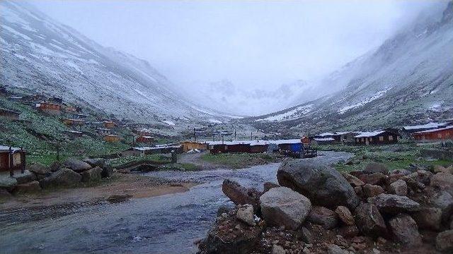 Rize de Yaylarda Yazı Beklerken Kar Geldi 2