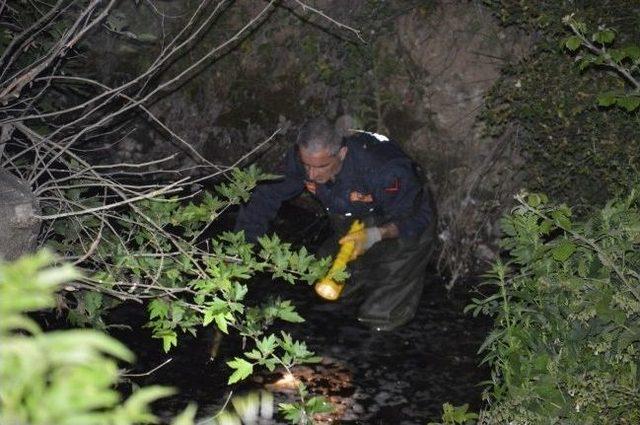 Bursa'daki Vahşet 77 Gün Sonra Aydınlandı