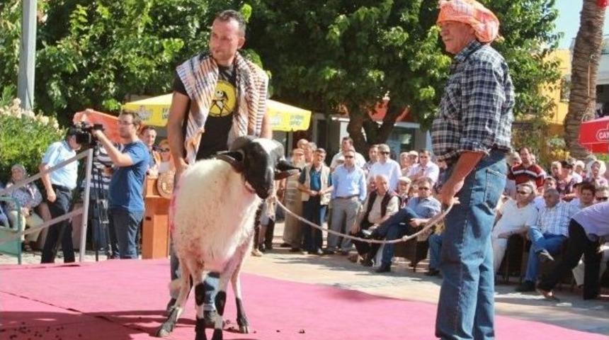 Şampiyon Kuzularla Neşeli Haftasonu