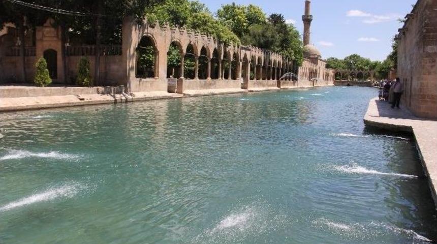 Balıklıg&ouml;l'de Toplu Balık &Ouml;l&uuml;mleri