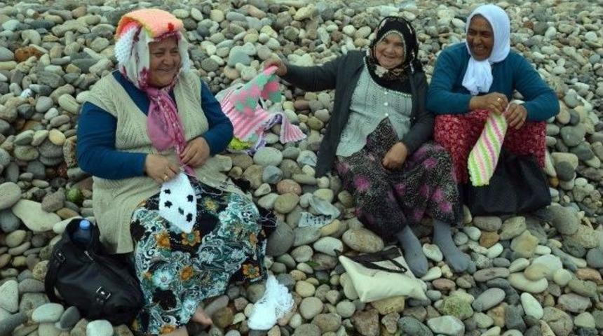 Fatsa&rsquo;da Mayıs Yedisi Geleneği