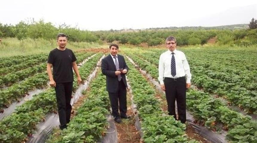 Doğanyol&rsquo;da &Ccedil;ilek &Uuml;retimi